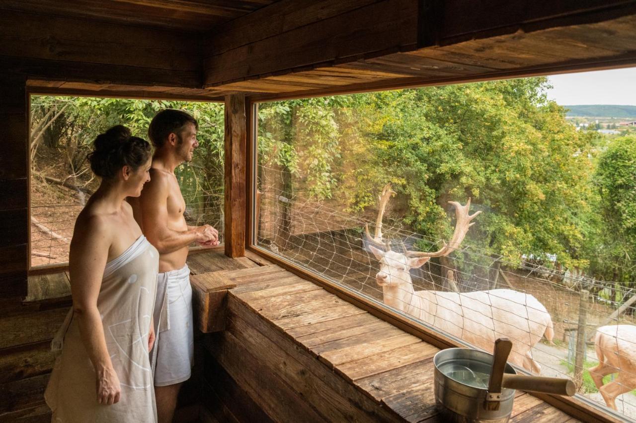 Bollants Spa Im Park Bad Sobernheim Εξωτερικό φωτογραφία